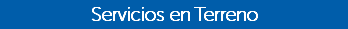Servicios en Terreno